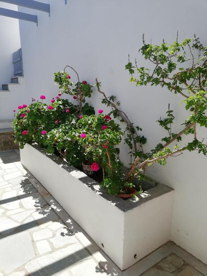 Poseidonio Of Paros Apart otel Alikí Dış mekan fotoğraf